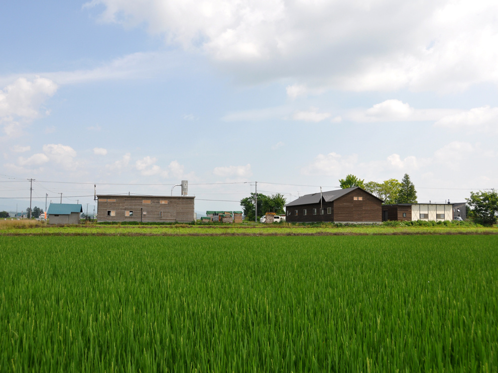 dsc_0556.jpg
